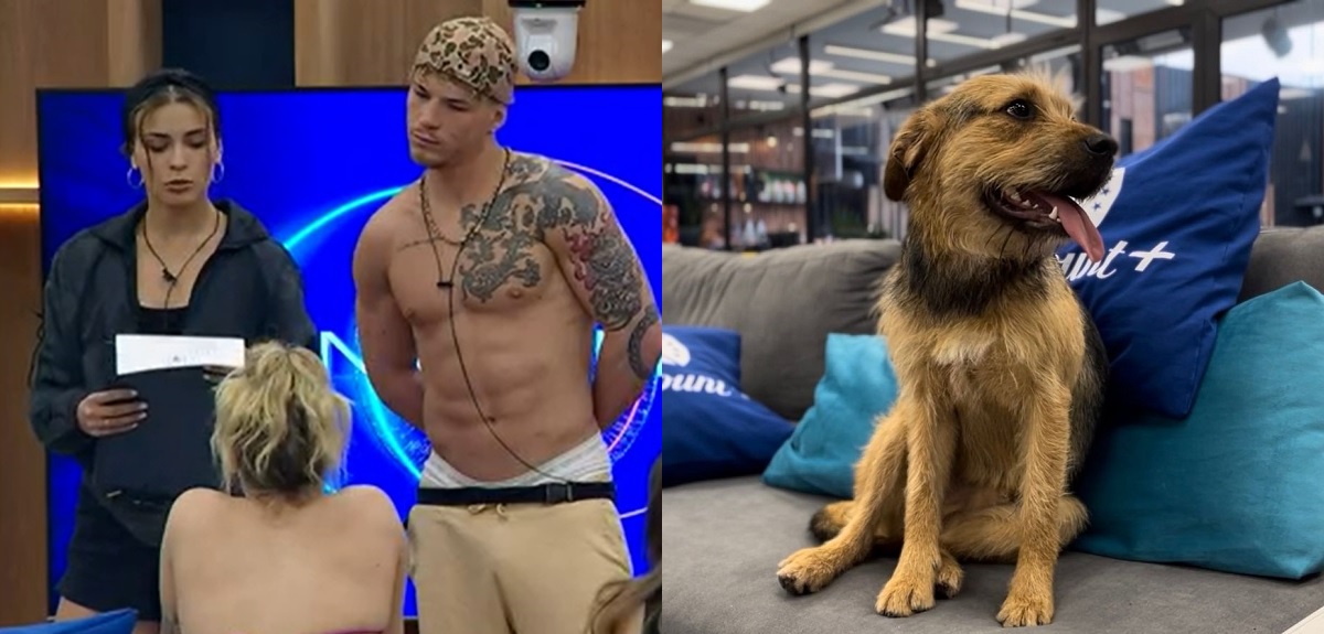 La nueva (y desafiante) misión que ordenó Gran Hermano a jugadores: involucra a Bigote