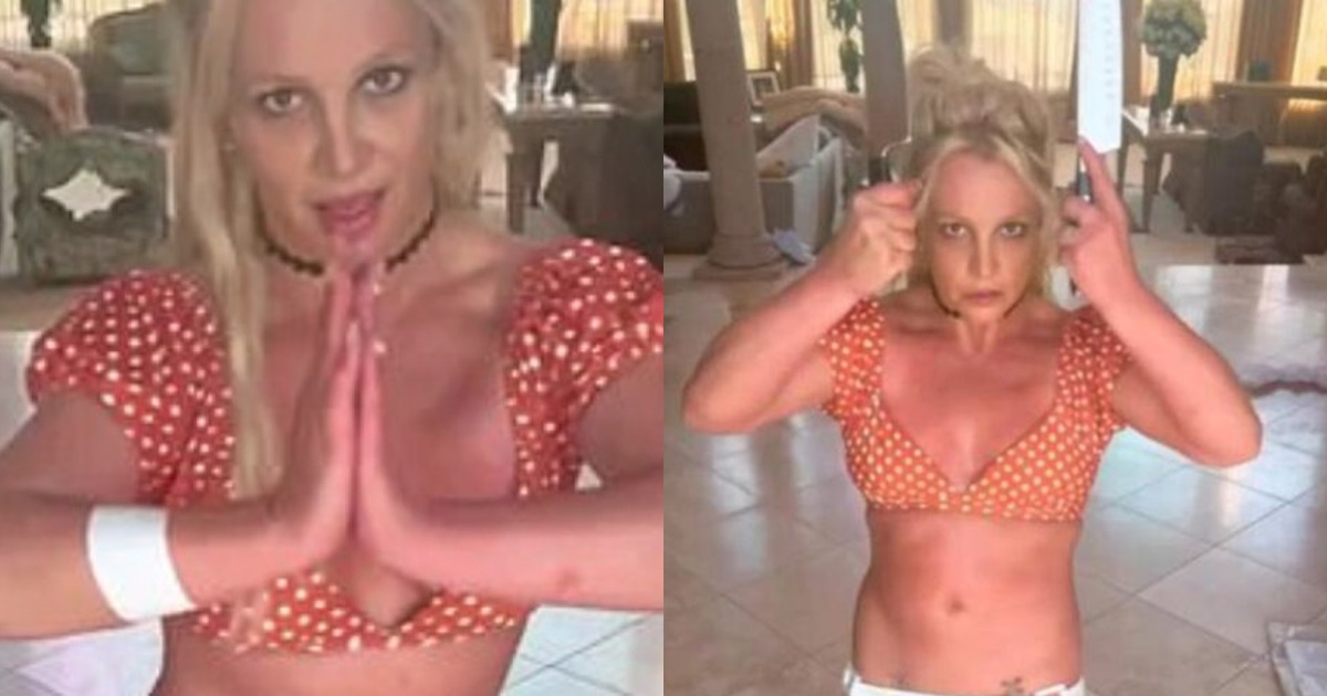 Desconcertante video de Britney Spears bailando con cuchillos alertó a fans: temieron por sus perros