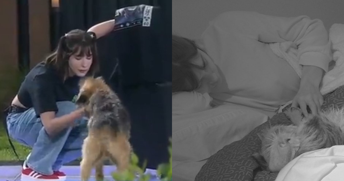 iCata y Bigote Gran Hermano