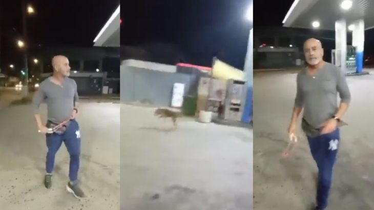 Maltra animal: captan en Villa Alemana a hombre lanzándole piedras a un perro con una honda