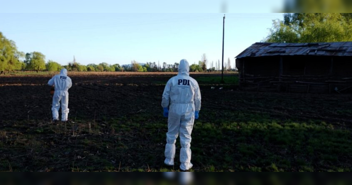 Confirman que niño de 4 años que murió en Linares fue atacado por su padre: le disparó en la cabeza
