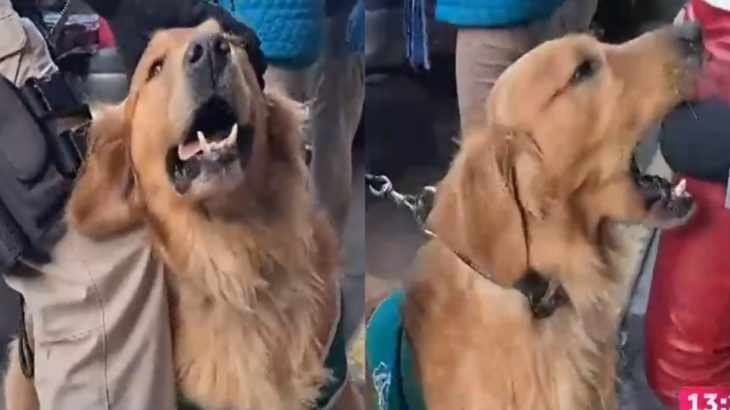 perro carabineros micrófono