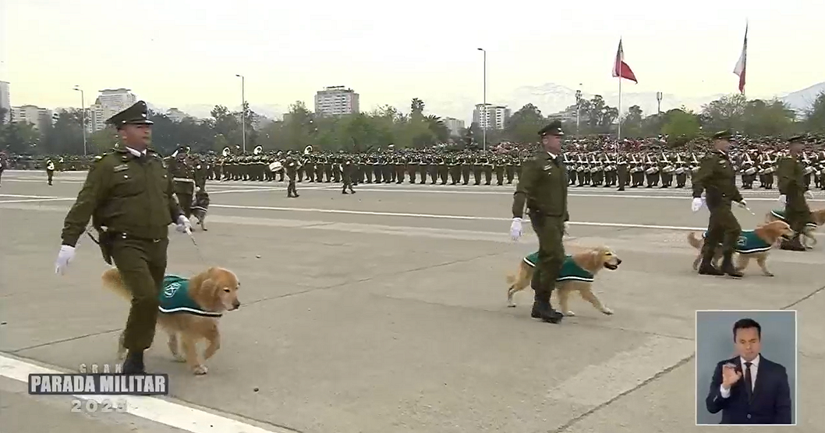 Unidad canina de Carabineros vivió emotivo momento en plena Parada Militar: perritos se jubilaron