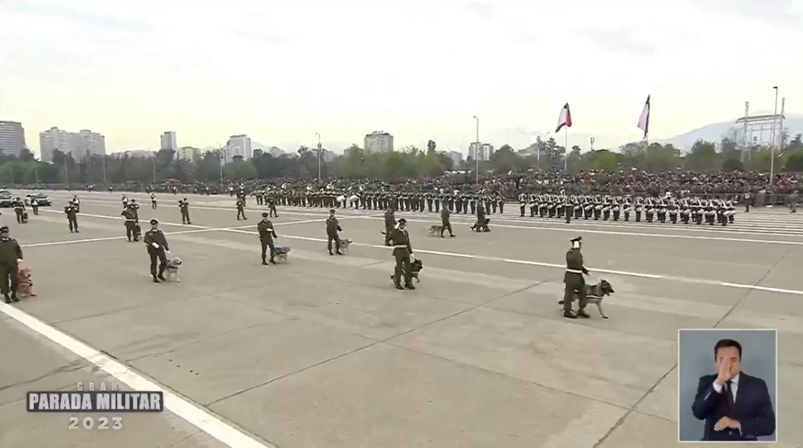 Unidad canina de Carabineros vivió emotivo momento en plena Parada Militar: perritos se jubilaron