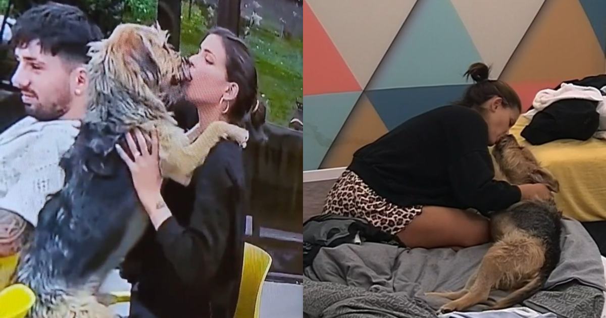 A próposito de Cony y Bigote en "Gran Hermano": ¿es recomendable besar a los perros?