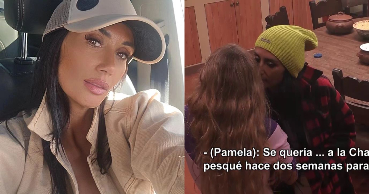Pamela Díaz enfurecida tras conocer supuesta propuesta de Fabio a Chama: “Falso de mierda”