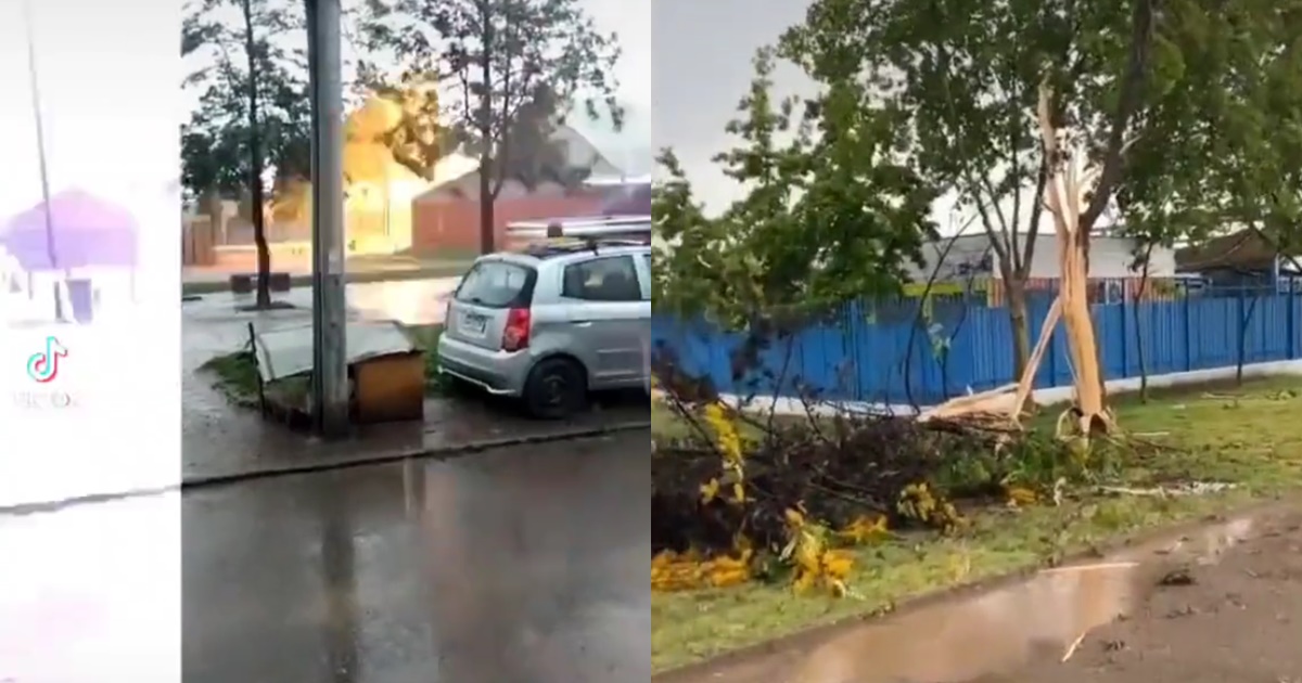Captan momento justo en que un rayo parte un árbol a la mitad en plazoleta de Puente Alto