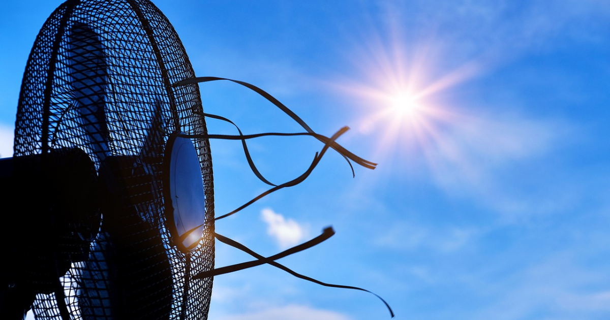 Para combatir la ola de calor: cómo elegir el ventilador perfecto para tu casa