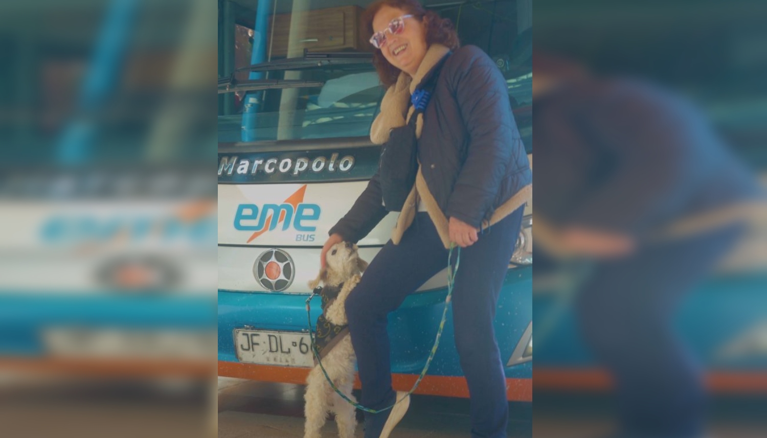 Eme Bus anuncia servicio petfriendly