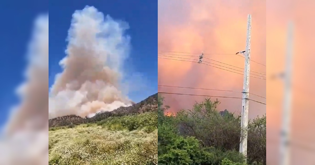 Incendios forestales: decretan Alerta Roja en Paine y otras tres comunas del país