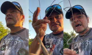 Luis Andaur expuso grave situación que identificó a seguidores: "Ayúdenme a denunciar a estos giles"