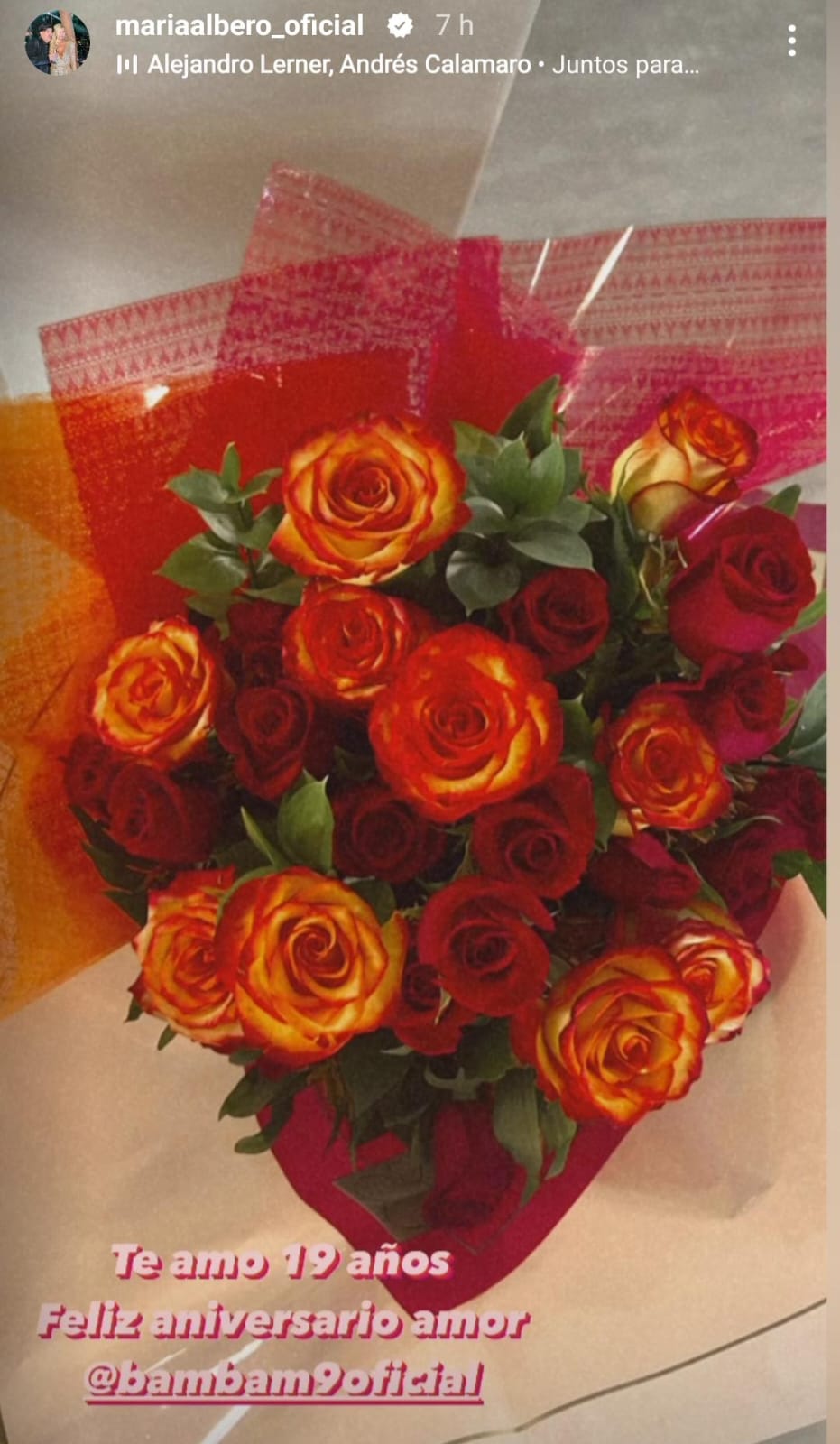 María Alberó recibió especial regalo de Iván Zamorano para su aniversario: "Por muchos años más"
En específico, Zamorano la sorprendió con un gran ramo de rosas, el cual María Alberó mostró a través de sus historias de Instagram.

"Te amo. 19 años juntos. Feliz aniversario mi amor", comentó la modelo.