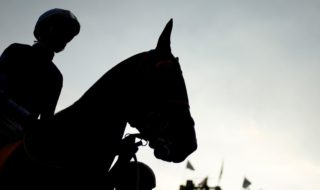 yegua de Kike Morandé