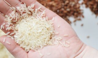 Año Nuevo Chino 2024: rituales con arroz de la cultura oriental para atraer la abundancia