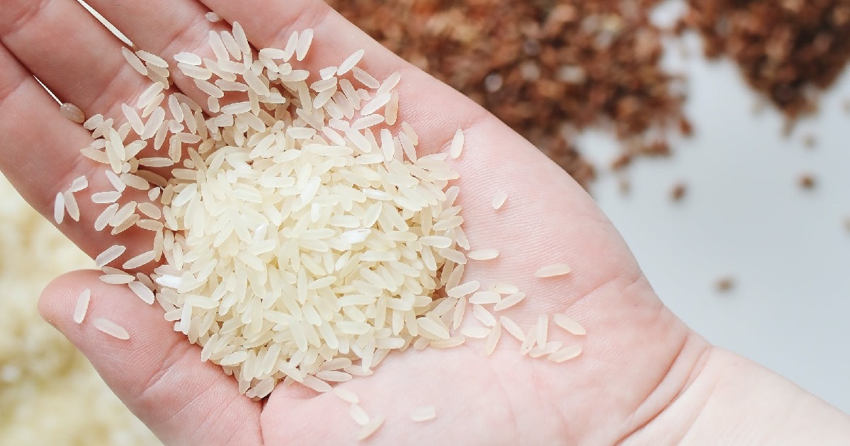 Año Nuevo Chino 2024: rituales con arroz de la cultura oriental para atraer la abundancia