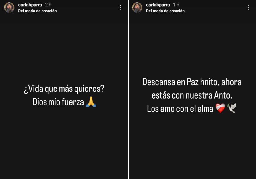 Hermano Antonia Barra falleció en accidente