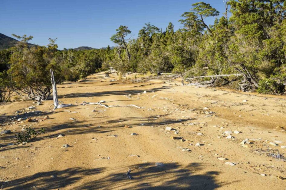 Venden isla virgen chilena 