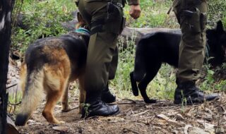 Encuentran con vida a los 4 adolescentes desaparecidos en Petorca: estarían en buenas condiciones