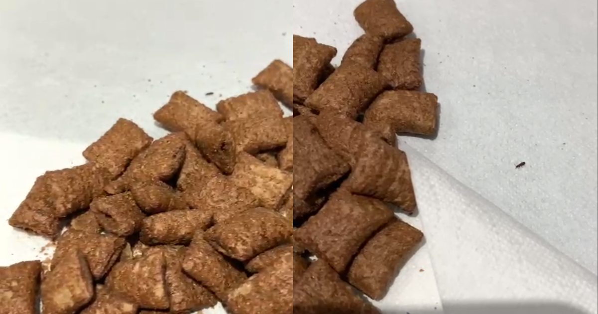 Padre y su hija de 5 años se intoxicaron al comer cereales con escarabajos vivos: exigen solución