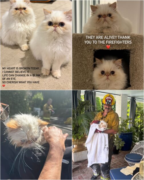 incendio consume la mansión de la actriz Cara Delevingne