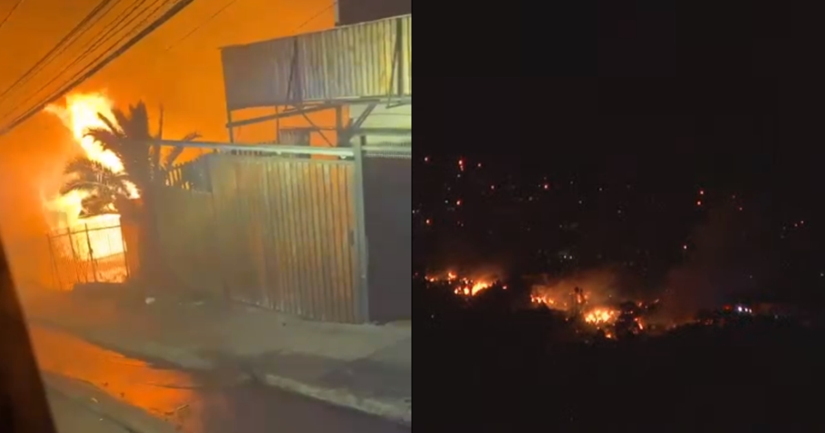 Evacúan Cerro Cordillera de Valparaíso por incendio forestal