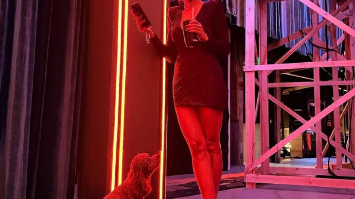 Vito el perrito que acompaña a Leonor Varela en Got Talent Chile