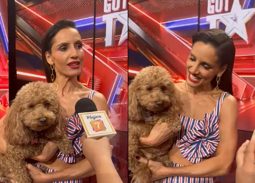 Vito el perrito que acompaña a Leonor Varela en Got Talent Chile