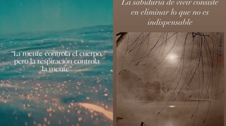 María José Prieto reapareció en redes tras grave querella contra Cristián Campo: publicó reflexiones