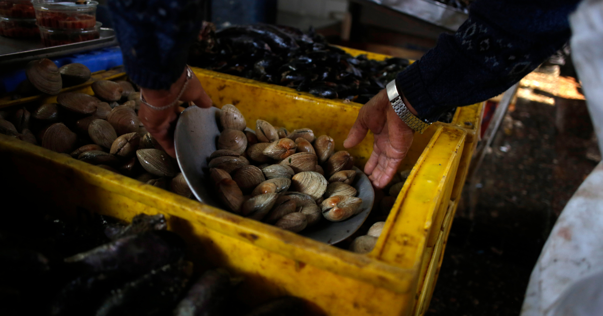 ¿Cómo reconocer pescados y mariscos en buen estado tras brote de Vibrio parahaemolyticus?