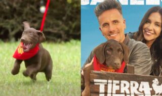 Canelo en Tierra Brava