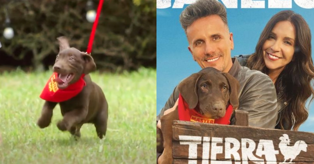 Canelo en Tierra Brava