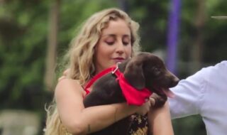 Dani Castro y Canelo