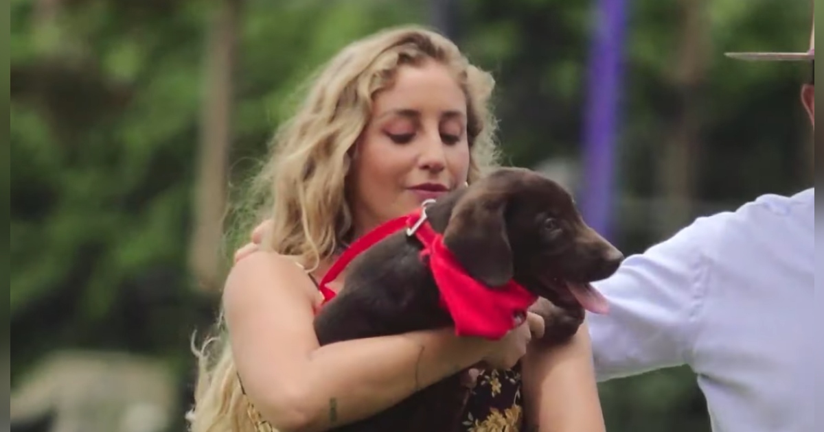 Dani Castro y Canelo