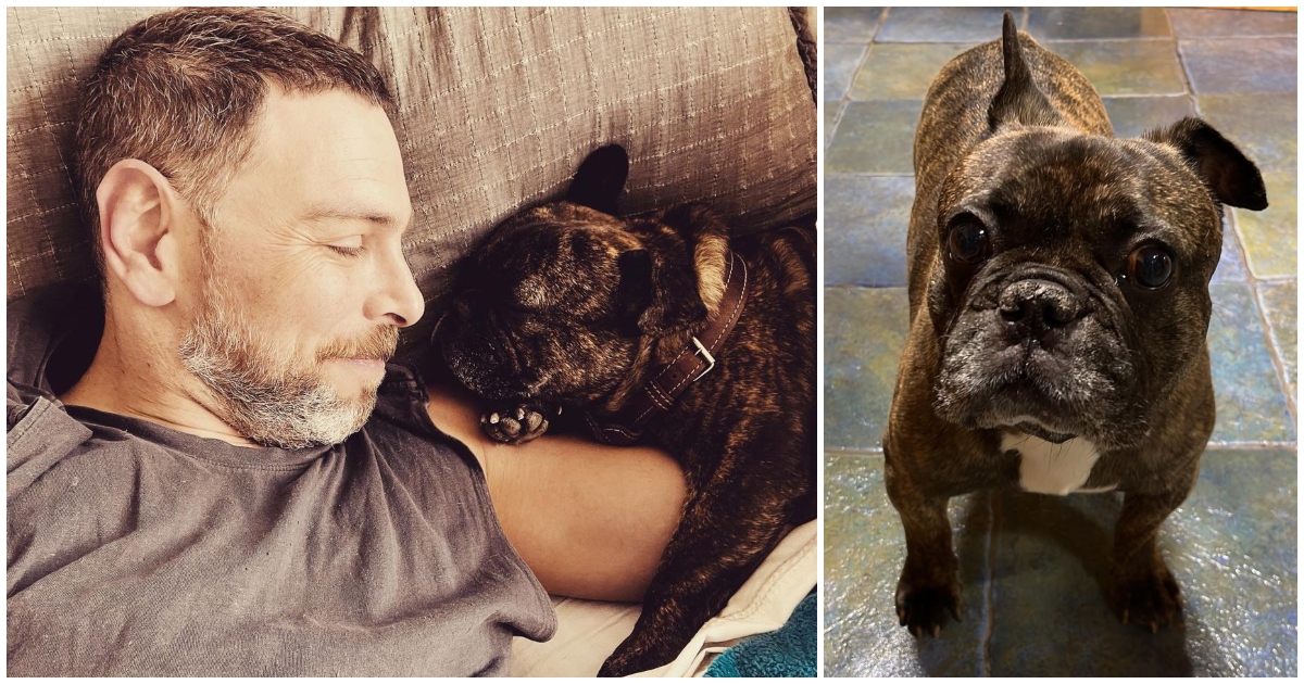 Petición de José Antonio Neme tras muerte de su perro Duque