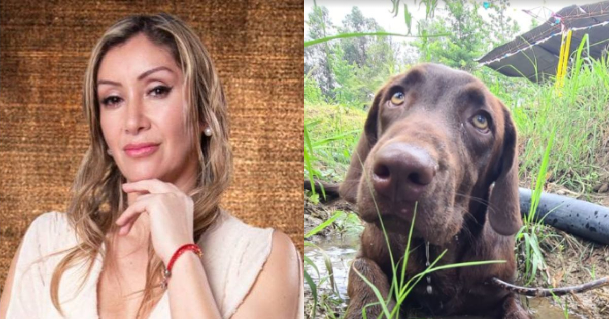 Angélica Sepúlveda no se quedó callada y alzó la voz tras la muerte de Canelo: “No lo puedo creer”