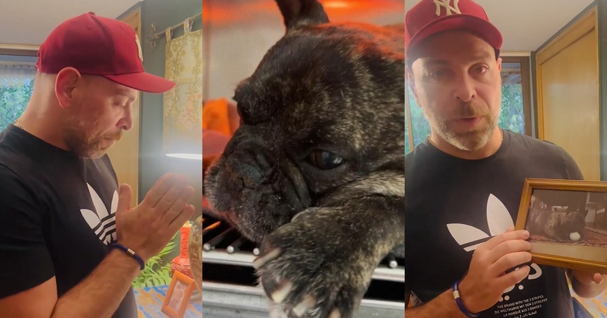 Figuras del espectáculo empatizaron con Neme tras muerte de su perrito: 