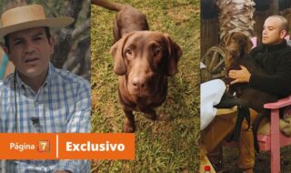 Capataz de Tierra Brava entregó detalles de la muerte de Canelo