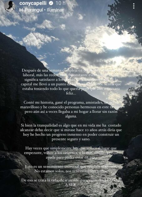 Constanza Capelli se desahogó en redes sociales