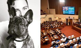 Diputados PS presentan Ley Duque