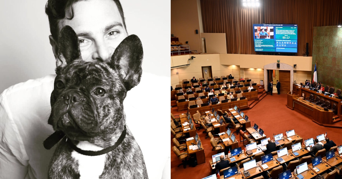 Diputados PS presentan Ley Duque