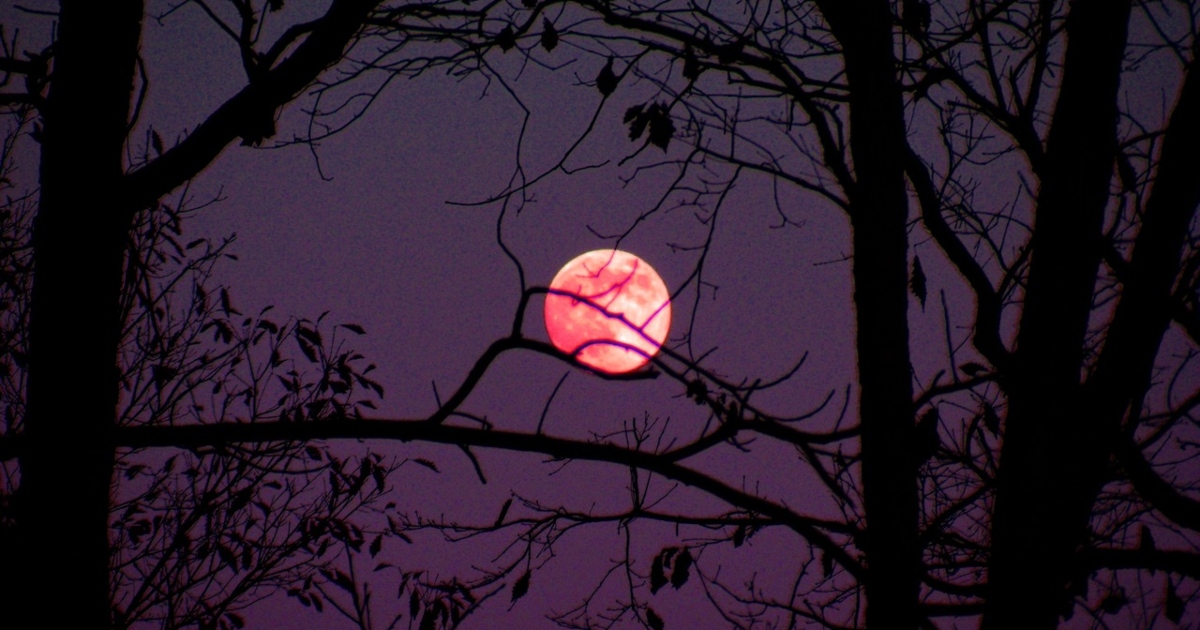 luna rosa en chile