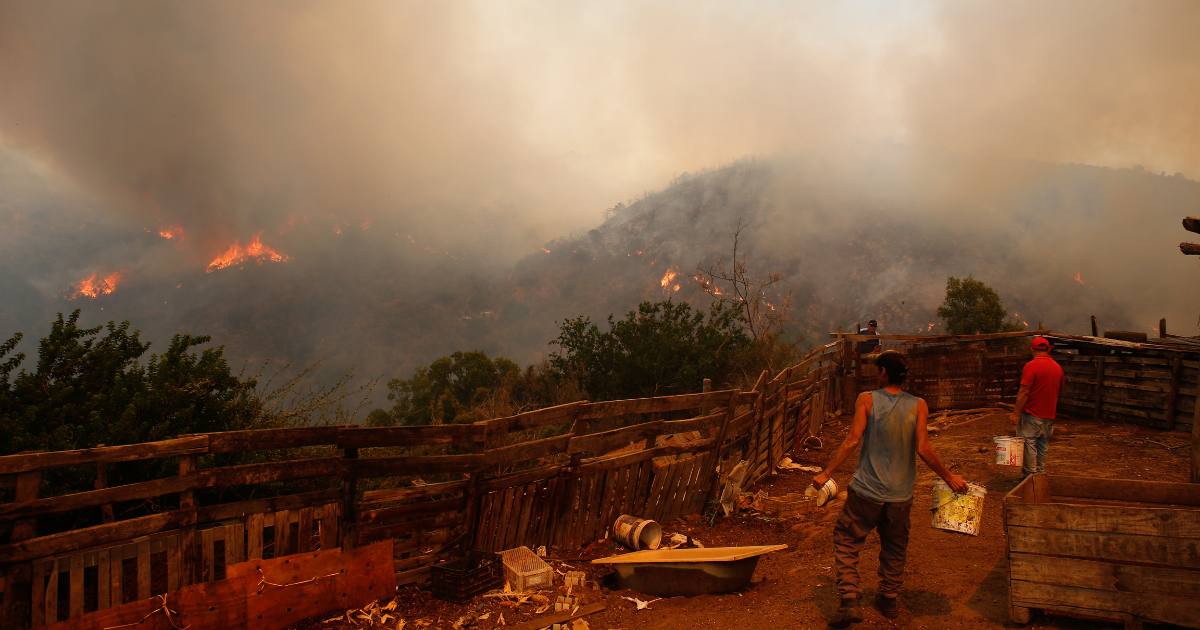 PDI reveló cómo habrían actuado los culpables de los incendios en la región de Valparaíso