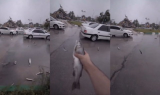 Lluvia de peces sorprende en Irán: ¿por qué ocurrió este inusual fenómeno?