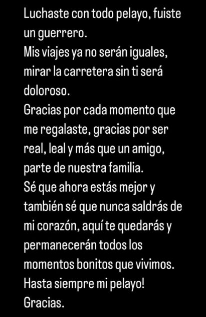María José Quintanilla lamentó muerte de amigo