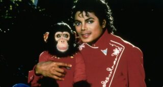 Qué fue de 'Bubbles', el famoso mono de Michael Jackson: tiene 41 años