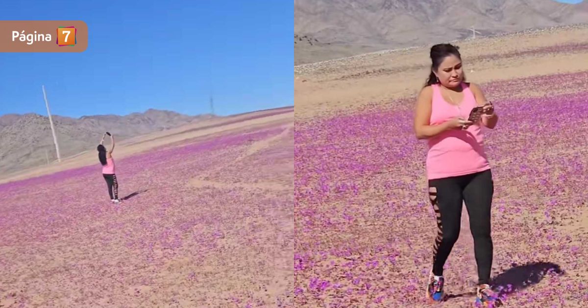 mujer pisa flores desierto florido