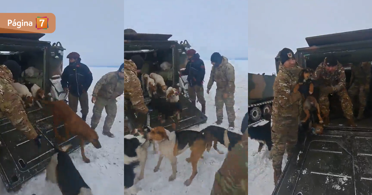 Viralizan rescate de "Mario Hugo argentino" y sus 13 perros: pasaron más de un mes en la nieve