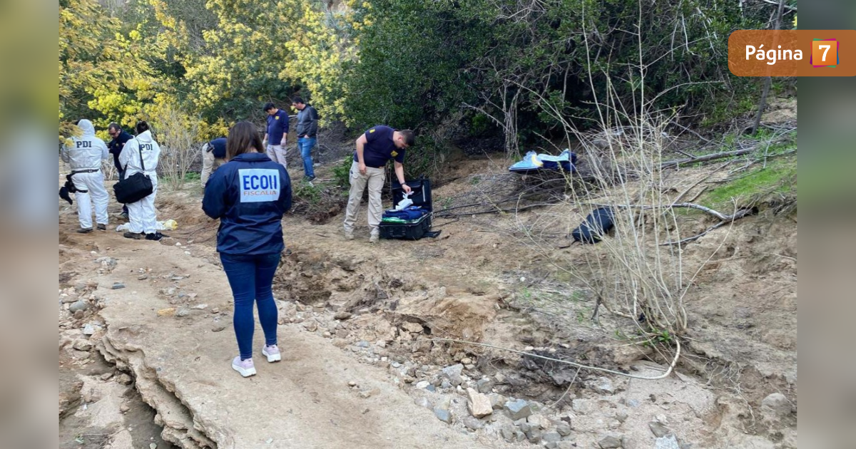 Cadáver hallado en Quilpué corresponde a adulto mayor: PDI confirmó ataque de animales