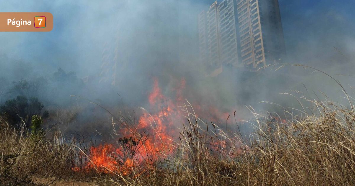 Hallan cuerpo femenino en incendio en Peñaflor