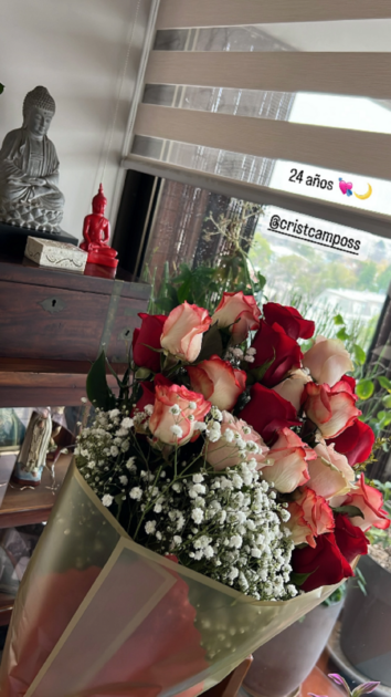 María José Prieto y Cristián Campos celebraron aniversario de matrimonio: publicaron fotos